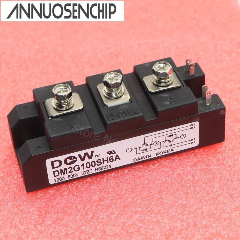 1pcs DM2G100SH6A Best Quality